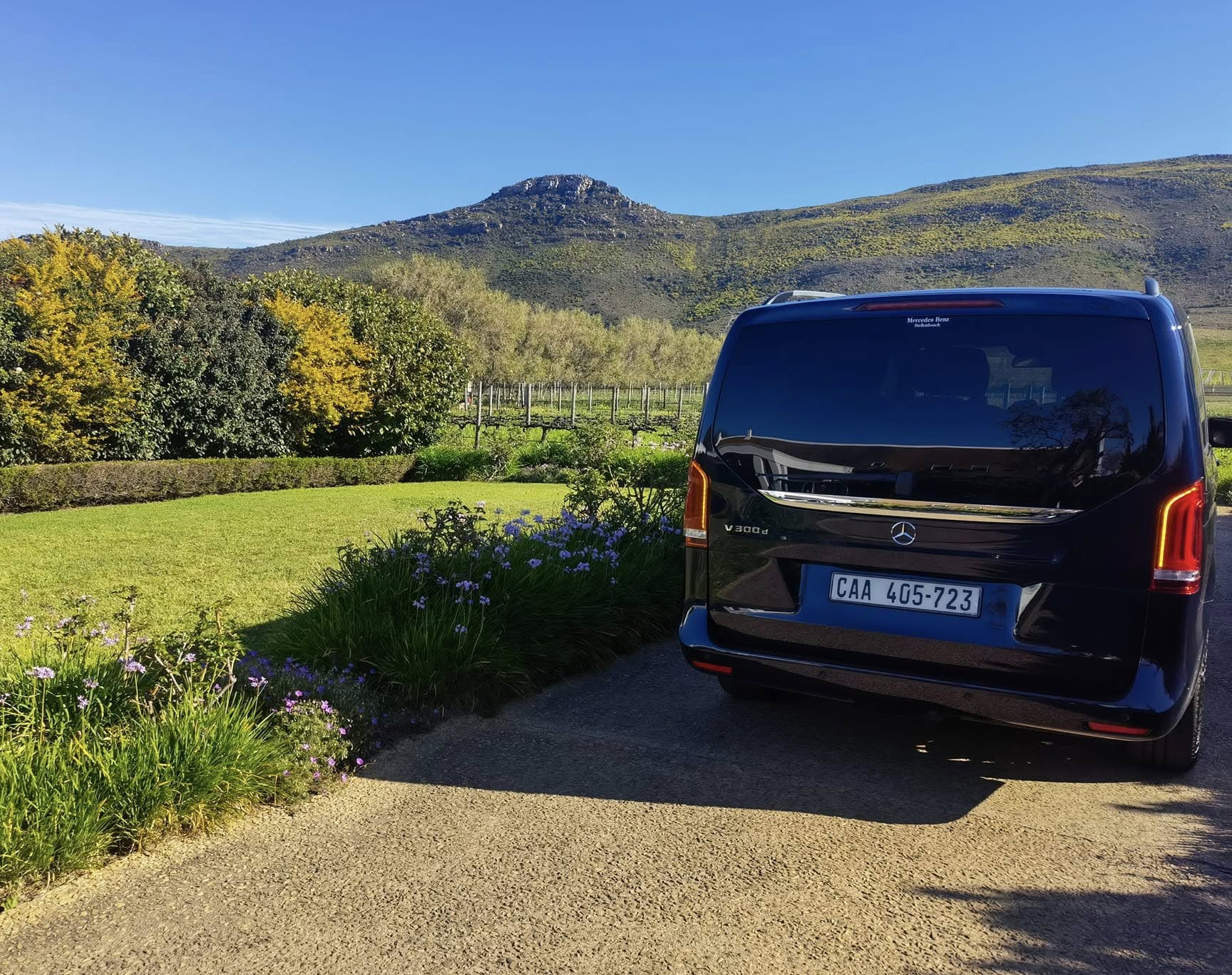 V-Class in the Cape Winelands